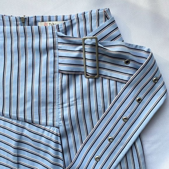 Tibi Blue Striped Midi Skirt - Picture 8 of 11